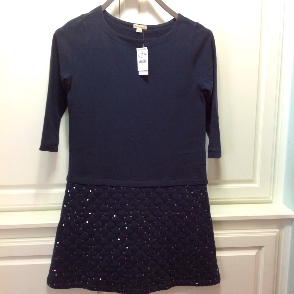 NWT J. Crew Girls Dress